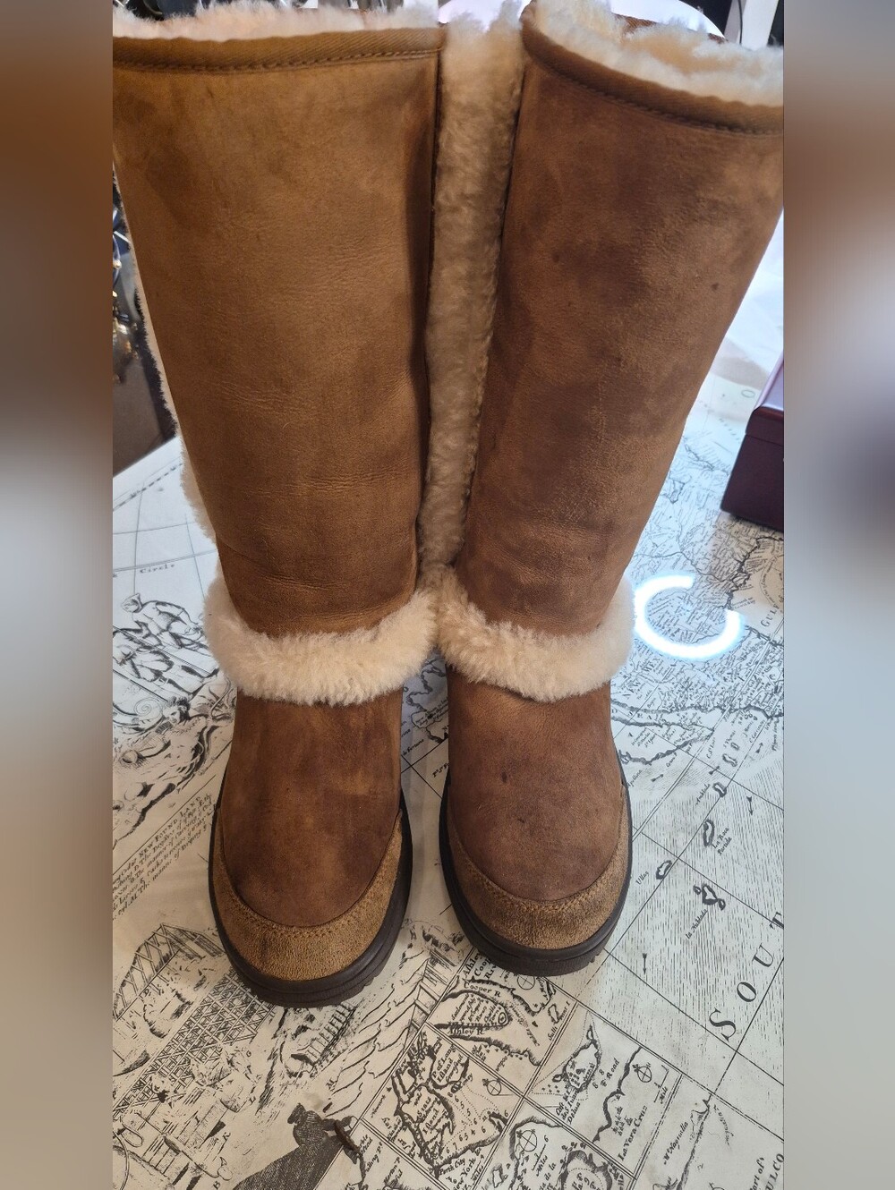 UGG Chestnut Plush Shearling Boot Interior